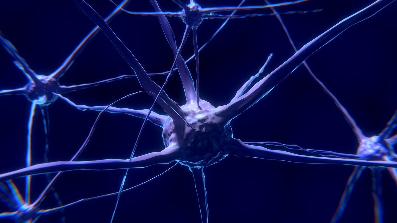 Neurotransmitters - The Device Used In Neuralink