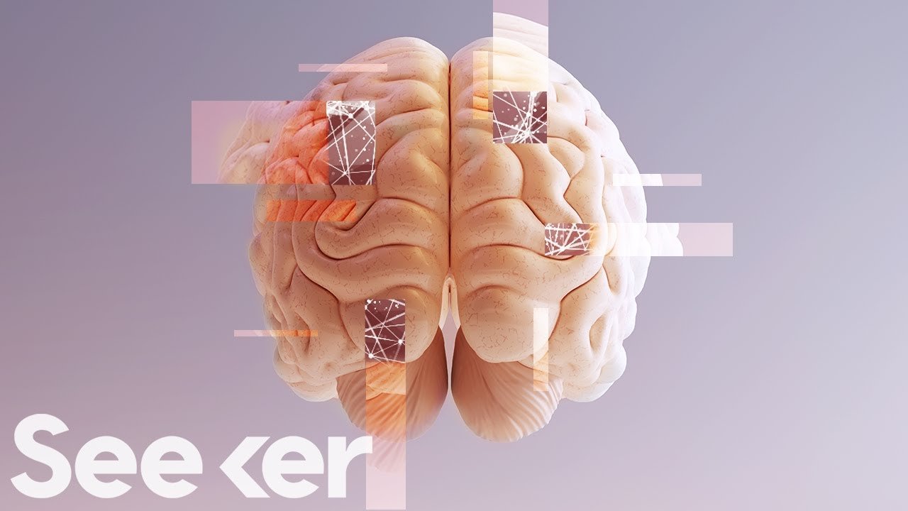 Mapping the Human Brain - Elon Musk Neuralink